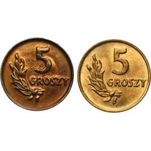 Zestaw, 5 groszy 1949 (2 szt.)
