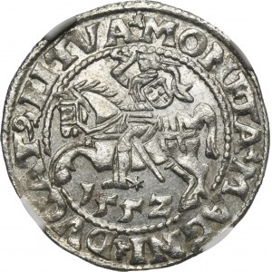 Sigismund II August, 1/2 Groschen Vilnius 1552 - LI/LITVA - NGC MS63