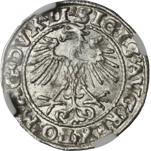 Sigismund II August, 1/2 Groschen Vilnius 1552 - LI/LITVA - NGC MS63