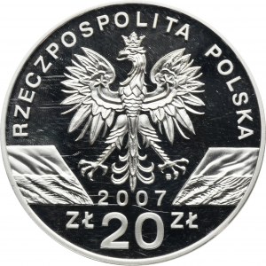20 złotych 2007 Foka Szara