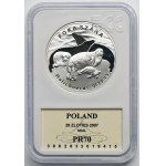 20 złotych 2007 Foka Szara