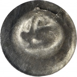 Silesia, Duchy of Schweidnitz, Sigismund of Luxembourg, Albrecht or Ladislaus Posthumus, Hohlpfennig Schweidnitz 1414-1448 - head to the right