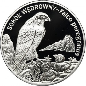 20 złotych 2008 Sokół