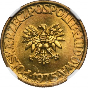 5 or 1975 - NGC MS65
