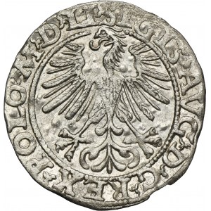 Sigismond II Auguste, demi-penny Vilnius 1563 - LI/LITV