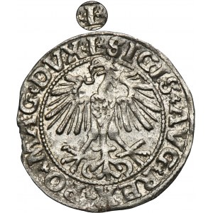 Sigismund II August, 1/2 Groschen Vilnius 1550 - L/LITVA - RARE