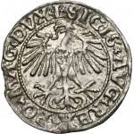 Sigismund II August, 1/2 Groschen Vilnius 1550 - L/LITVA - RARE