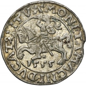 Sigismond II Auguste, demi-penny Vilnius 1555 - LI/LITVA