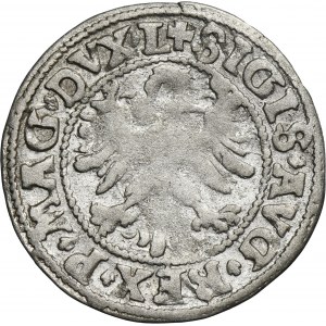 Sigismund II August, Halfgroschen Vilnius 1546 - L/LITV - RARE