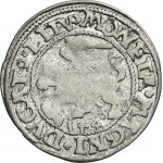 Sigismund II August, Halfgroschen Vilnius 1546 - L/LITV - RARE
