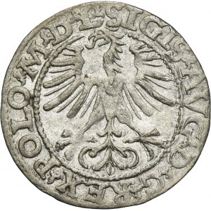 Sigismund II August, 1/2 Groschen Vilnius 1564 - L/LITV
