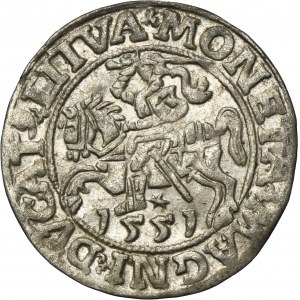 Sigismond II Auguste, demi-penny Vilnius 1551 - LI/LITVA