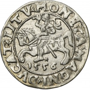 Sigismond II Auguste, demi-penny Vilnius 1556 - LI/LITV