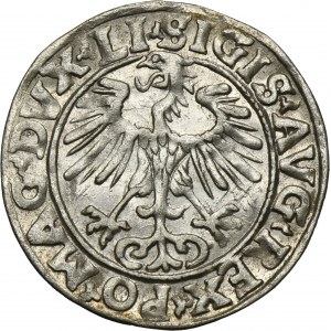 Sigismond II Auguste, demi-penny Vilnius 1556 - LI/LITV