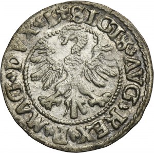 Sigismond II Auguste, demi-penny Vilnius 1546 - L/LITV - ROTER