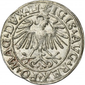 Sigismund II August, 1/2 Groschen Vilnius 1548 - LI/LITVA
