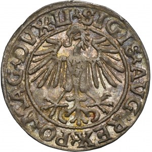 Sigismond II Auguste, demi-penny Vilnius 1549 - LI/LITVA
