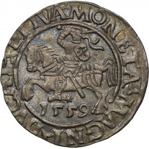 Sigismund II August, 1/2 Groschen Vilnius 1559 - L/LITVA - RARE