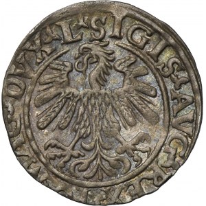 Sigismund II August, 1/2 Groschen Vilnius 1559 - L/LITVA - RARE