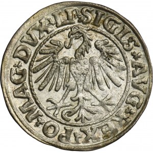 Sigismund II August, 1/2 Groschen Vilnius 1547 - LI/LITVA