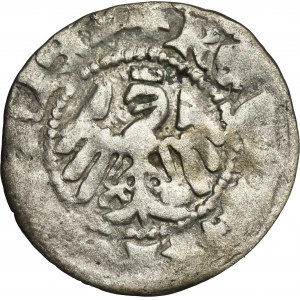 Ladislaus II Jagiello, 1/2 Groschen Krakau - + under crown - VERY RARE