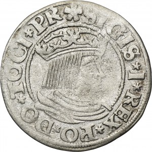 Sigismund I the Old, Groschen Danzig 1532 - PR
