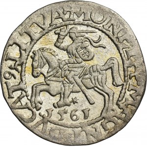 Sigismund II August, 1/2 Groschen Vilnius 1561 - L/LITVA