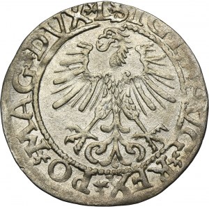 Sigismund II August, 1/2 Groschen Vilnius 1561 - L/LITVA