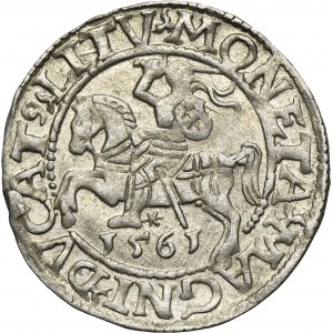 Sigismund II August, 1/2 Groschen Vilnius 1561 - L/LITV