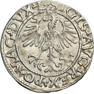 Sigismund II August, 1/2 Groschen Vilnius 1561 - L/LITV