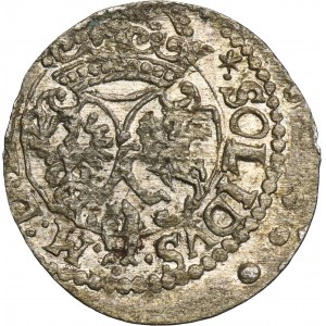 Sigismund III Vasa, Schilling Vilnius 1618