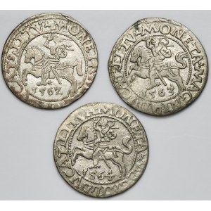 Set, Sigismund II August, 1/2 Groschen Vilnius 1562-1564 (3 pcs.)