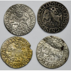 Ensemble, Sigismond II Auguste, demi-penny de Vilnius (4 pièces)