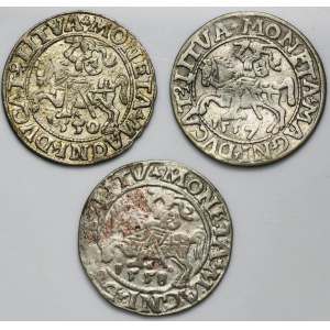 Set, Sigismund II August, 1/2 Groschen Vilnius (3 pcs.)