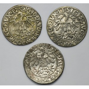 Set, Sigismund II August, 1/2 Groschen Vilnius (3 pcs.)