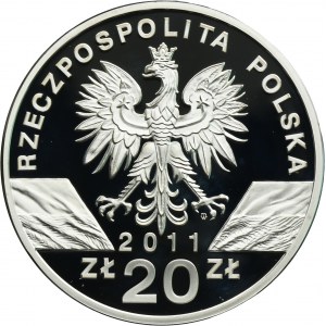 20 złotych 2011 Borsuk