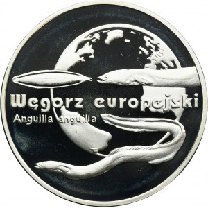 20 złotych 2003 Węgorz europejski