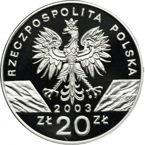 20 złotych 2003 Węgorz europejski