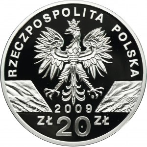 20 złotych 2009 Jaszczurka Zielona