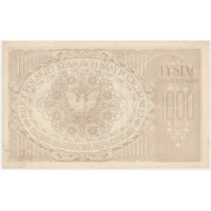1.000 marek 1919 - Ser. ZE -