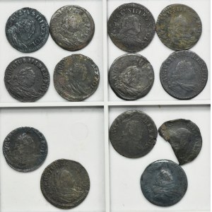 Set, Augustus III of Poland, Groschen (13 pcs.)