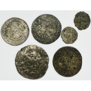 Set, Ladislaus II Jagiello, Casimir IV Jagiellon, Sigismund I the Old and Sigismund II August, Denarius and Halfgroschen (6 pcs.)
