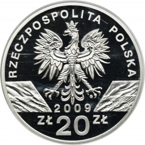 20 złotych 2009 Jaszczurka Zielona
