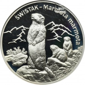 20 złotych 2006 Świstak