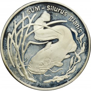 20 złotych 1995 Sum