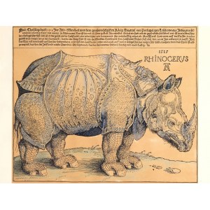 Albrecht Dürer, Nuremberg 1471 - 1528 Nuremberg, suiveur, Le Rhinocéros