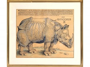 Albrecht Dürer, Norimberga 1471 - 1528 Norimberga, seguace, Il rinoceronte