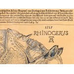 Albrecht Dürer, Norimberga 1471 - 1528 Norimberga, seguace, Il rinoceronte