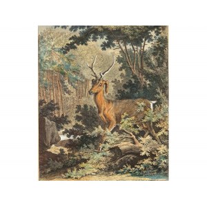 Johann Elias Ridinger, Ulm 1698 - 1767 Augsburg, Stag with floppy ears