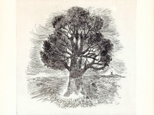 Walter Peyrer, Niemcy, XX wiek, drzewo